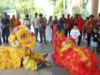 CNY Acrobatic Lion Dance Performance